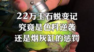 玉石蜕变记，22万翡翠，一刀切开，究竟是色料的逆袭，还是烟灰缸的惩罚？