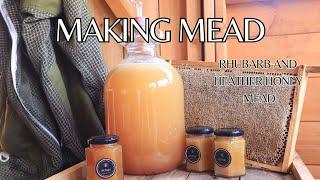 Making MEAD! The perk of keeping bees. Rhubarb mead