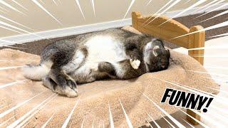 Ultimate BUNNY FLOP Tutorial with Slow Motion