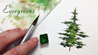 EASY brushstrokes for REALISTIC pine trees » how to paint watercolor evergreens for beginners