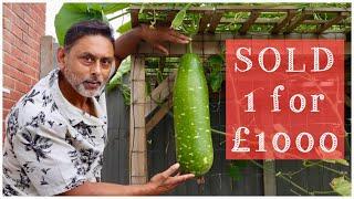 Sold My Garden Harvest To Help People In Bangladesh | Organic Gardening