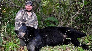 Epic Wisconsin Black Bear Hunt & Adventure - September 2022