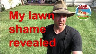 Lawn fungus and low reel mow of Sir Walter buffalo st. Augustine grass with Scott Bonnar 45