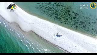 Mafia Island Marine Park Tanzania