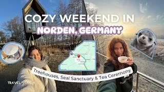 Cozy Weekend in Norden: Hidden gem in Germany with a seal sanctuary, treehouses house & tea ceremony