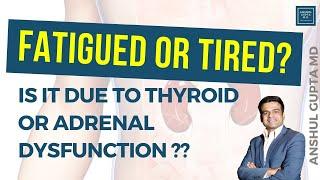 Fatigued or Tired? Is it due to Thyroid or Adrenal Dysfunction?