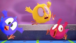 CHICKY COLOR GAME | Where's Chicky? Chicky Cartoon in English for Kids