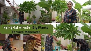 Terrace / Balcony Garden ..बड़े बड़े पेड़ों का गार्डन नंबर -3 ...Diet Recipe & Kitchen Decoration Ideas
