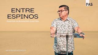 Entre espinos - Pastor Alejandro Castro