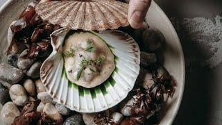 Why Shellfish is the Most Superior Protein on Earth