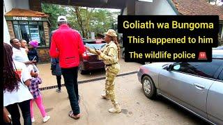 Goliath wa Bungoma brings animal orphanage to a stand still... crowd goes wild.