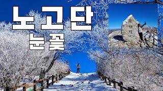 #지리산#노고단#겨울에 가볼만한 설산 명소#이보다 더 멋있을 수는 없다!#성삼재#겨울왕국이 생각나는 곳#등산