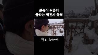 (후방주의) 홋카이도 동물원에서 일본원숭이 교미 장면을 보다 #세계여행