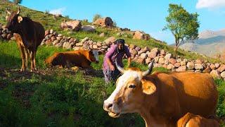 Four Seasons Plateau and Mountain Life - Life in the Stone House