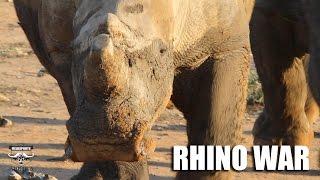 Rhino War: Fieldsports Africa special report