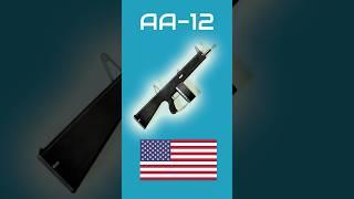 The Reason  the AA-12 Was NEVER Adopted by the USArmy