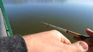 best bait to catch gizzard shad rod and reel