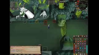 Unedited Solo Olm Example Kill