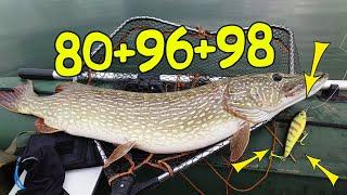 3 trophy pike per day! I'm still in shock  Fishing with my own baits - and it worked!