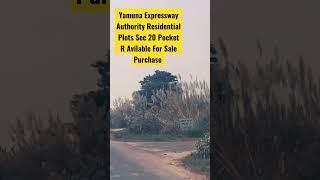 Yamuna Expressway Authority Plot Sector 20 Pocket R #shorts #property #plots #realestate #jewar