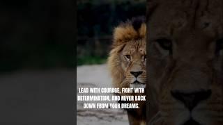 Roar Beyond The Limits.     #motivation #mindset
