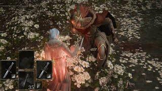 [ELDEN RING] Dual Keen Daggers VS Malenia [Solo, No hit, No Parry, No Bleed & Frost, No Damage]