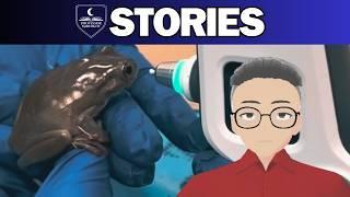 VTuber Professor REACTS | Daily Dose of Internet: Dumbest Customer