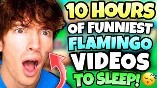 *10 HOURS* OF FLAMINGO TO FALL ASLEEP! (ROBLOX)