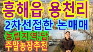 포항시 흥해읍 용천리 논매매.  작은 평수의 논. 주말농장 가능.