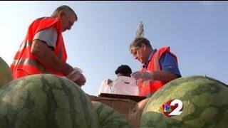 Foodbank distributes fresh produce in Dayton