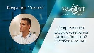 Современная фармакотерапия глазных болезней у собак и кошек. Бояринов Сергей #убвк_офтальмология