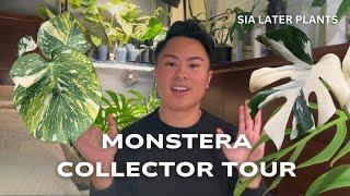 My Rare Monstera Collection! | Tour Over 30 Variegated Deliciosa Varieties