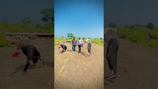 Chora me chora gurjar ka cha ‍️ new reels gujjar #gujjar #gurjar #love #reels #गुर्जर #gurjarboy