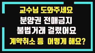 분양권 전매금지 불법거래 걸린경우, 계약취소 등 요구 어떻게 해야되나요?