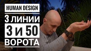 Дизайн Человека 3 и 50 ворота. 3 линии Даниил Трофимов. Human Design