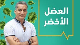 Plant B الحلقة الخامسة | العضل الأخضر - Vegan Muscles