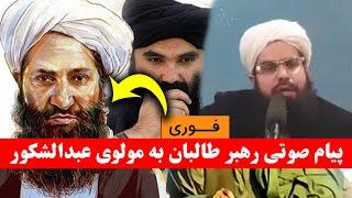 شجاعت مولوی عبدالشکور صدای رهبر طالبان را کشید/ پیام صوتی ملا هیبت الله