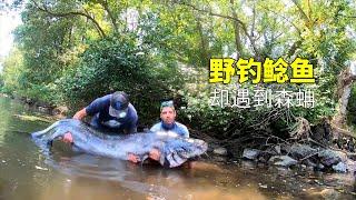 男人在亞馬遜河釣到一條200多斤的巨型鯰魚，卻被森蚺盯上，太可怕了