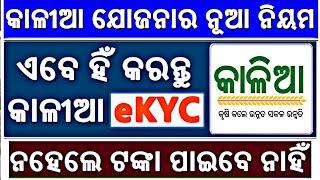 Kalia Yojana e kyc ( Aadhaar authentication complete online | Kalia yojana