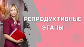 От 25 до 45 лет - репродуктивные этапы