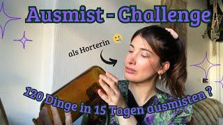 120 Dinge in 15 Tagen ausmisten / Minimalismus Declutter Challenge light