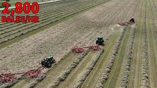 Massive Horse Hay Production