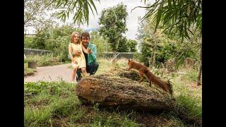 Brand new area at Peak Wildlife Park