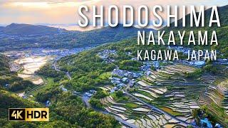 【4K HDR】Shodoshima Nakayama Kagawa Japan | Beautiful Nature with Calming Music | 小豆島中山千枚田・初夏