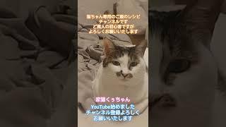 #くぅちゃんクッキング#炊飯器#簡単#猫ご飯#手作り猫ご飯#野良猫#猫#保護猫#ペット#犬#らーめん#塩らーめん#味噌ラーメン#喜多方ラーメン#炒飯#チャーシュー#餃子#カシスオレンジ#みれい