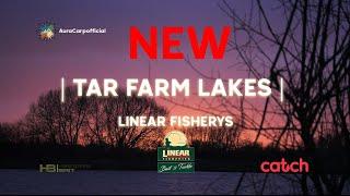 New CARP LAKES at LINEAR FISHERIES | Tar Farm Lakes | HINDERS