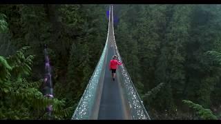 Canyon Lights at Capilano Suspension Bridge Park