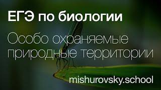 Заповедники, заказники и национальные парки — в чем различия? | Биология ЕГЭ