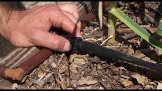 Efficient Watering for Fruit Trees and Vegetable Gardens