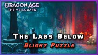 How To Solve Crossroads Blight Puzzle During The Labs Below in Dragon Age The Veilguard